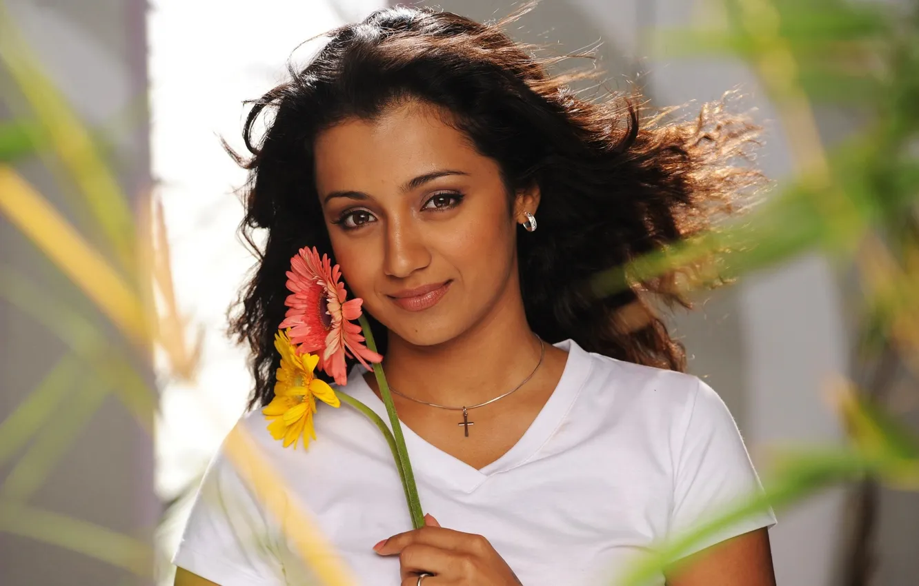 Фото обои цветок, взгляд, Индия, актриса, брюнетка, Trisha Krishnan