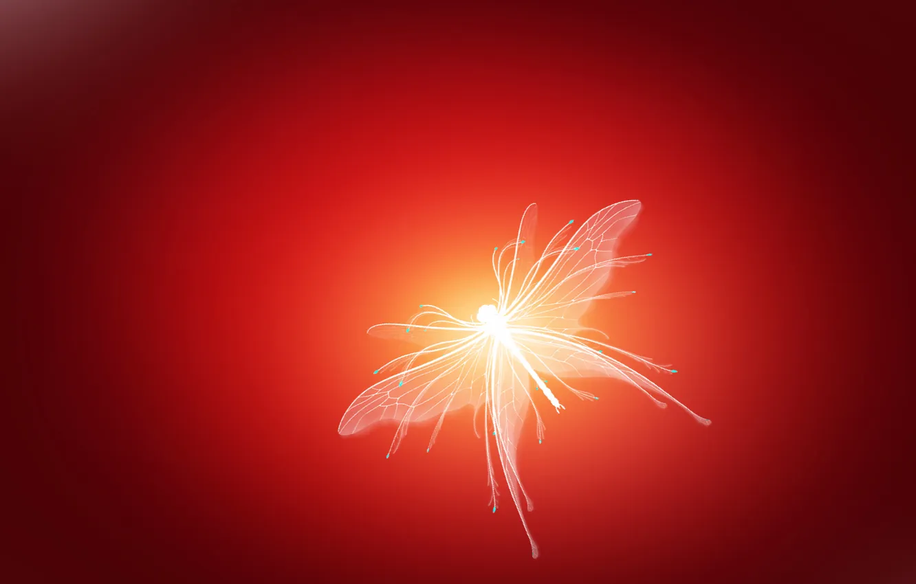 Фото обои red, white, art, gradient, buterfly