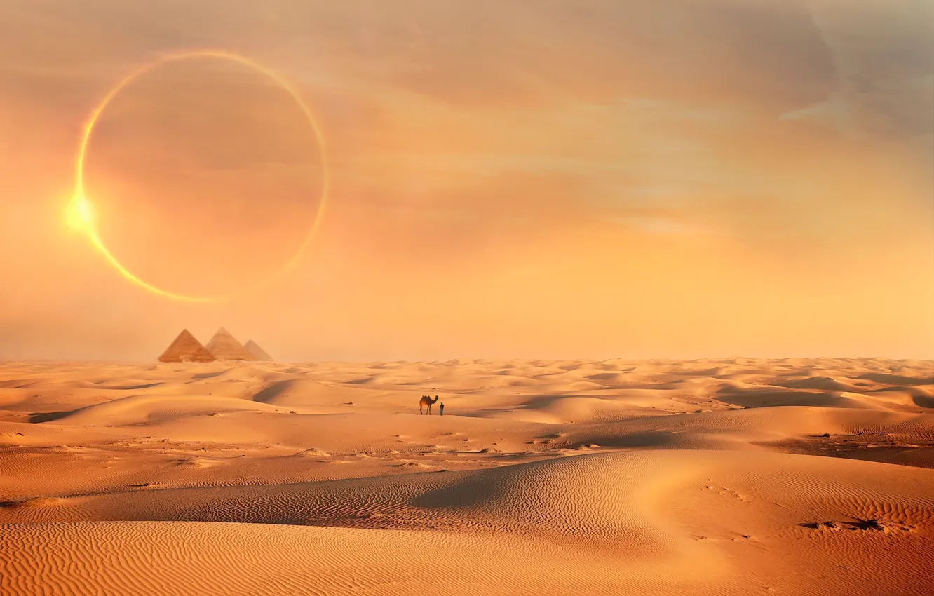 Фото обои солнце, рендеринг, пустыня, человек, верблюд, пирамиды, пески, фотоарт