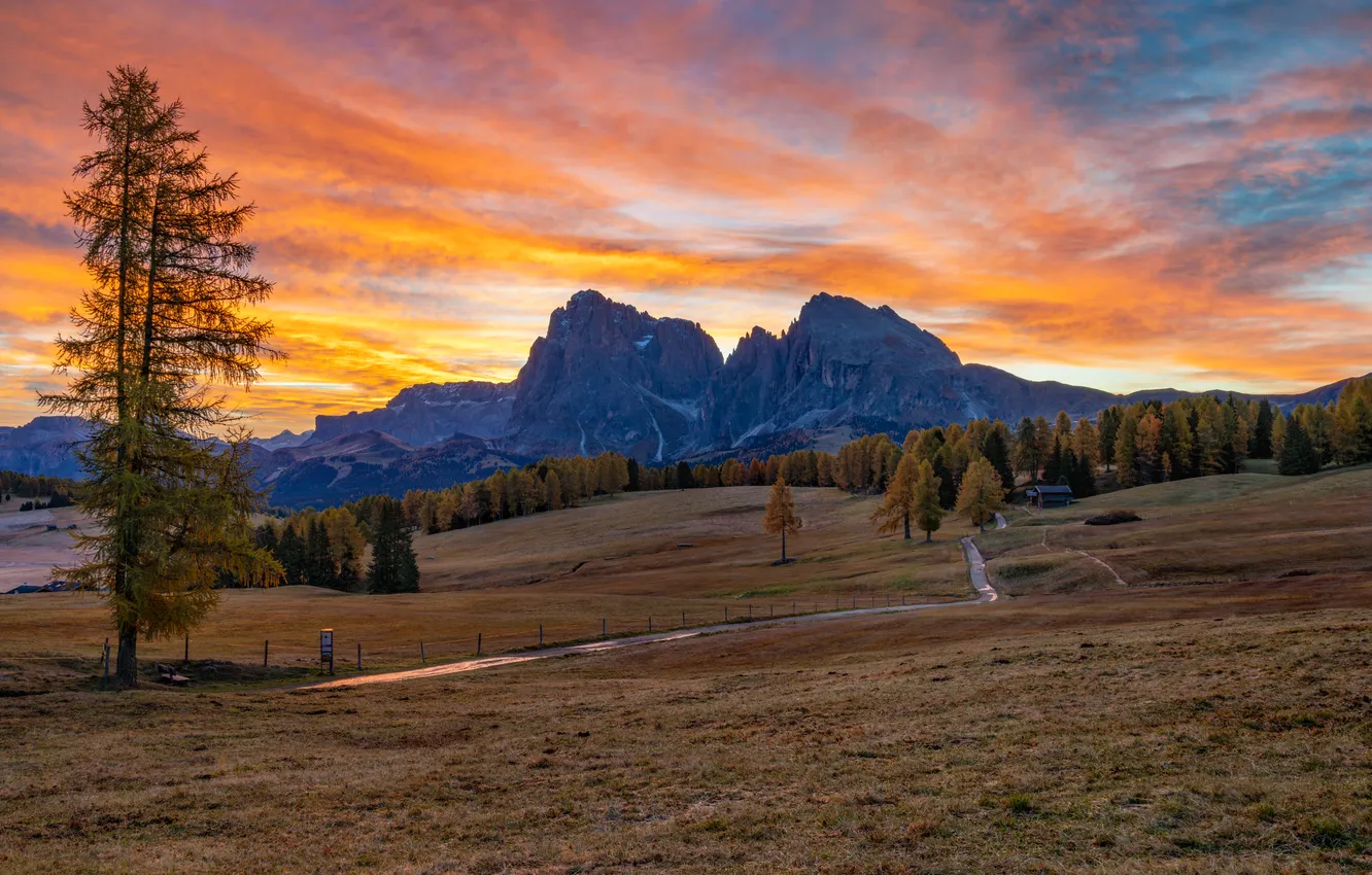 Фото обои небо, деревья, закат, горы, скалы, поля, Italy, луга
