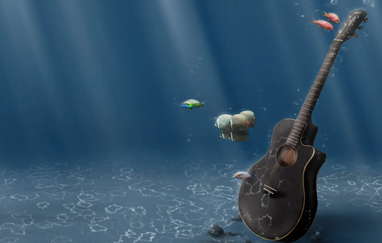 Фото обои вода, рыбки, гитара