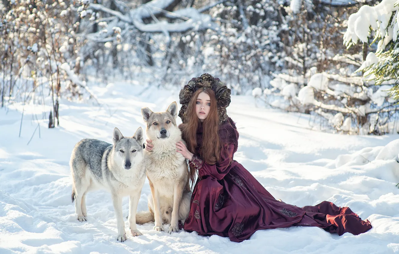 Фото обои зима, лес, животные, девушка, снег, природа, хищники, платье