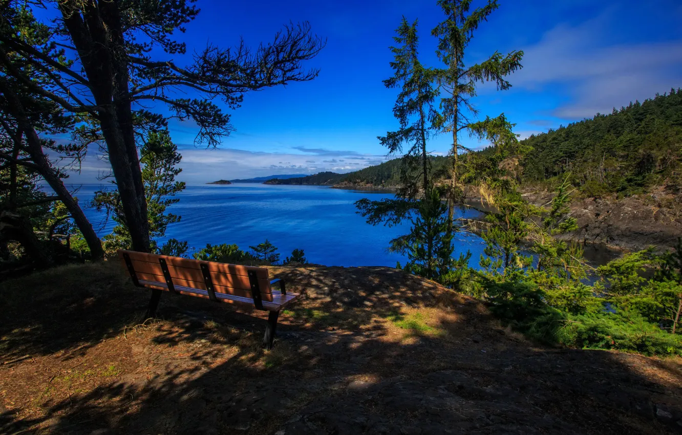 Фото обои лес, деревья, скамейка, природа, озеро, берег, Канада, возвышенность