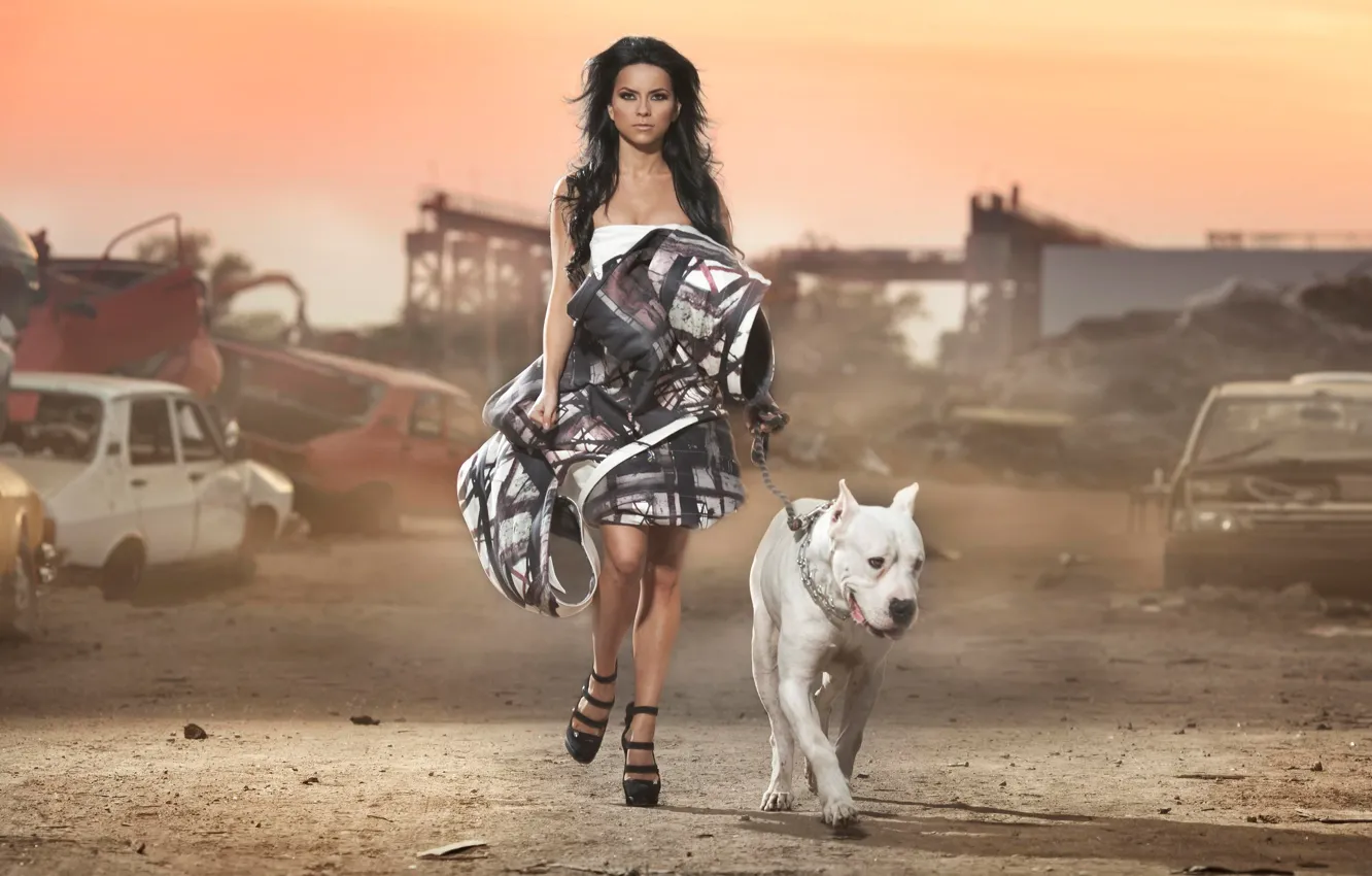 Фото обои девушка, собака, развалины