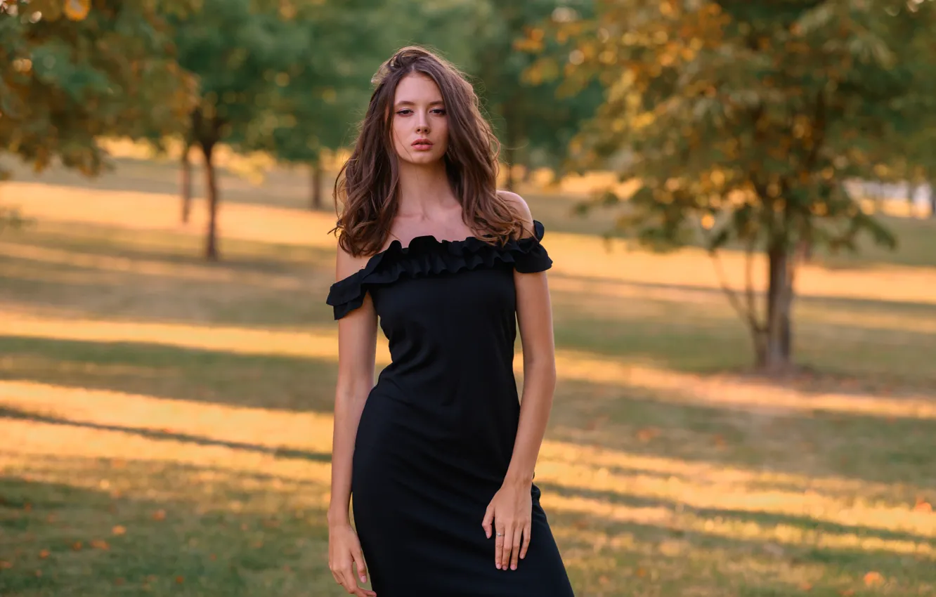 Фото обои girl, long hair, dress, trees, brown hair, photo, photographer, blue eyes