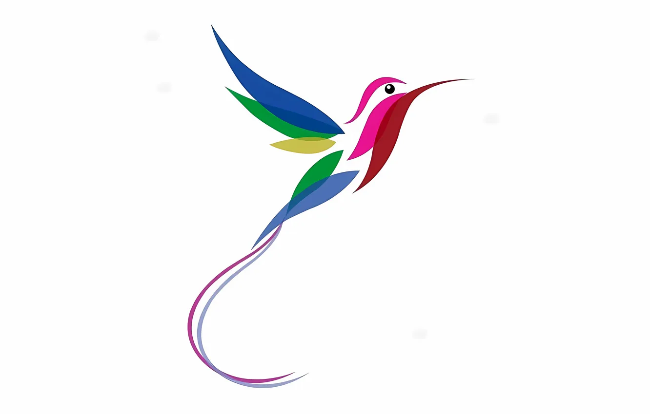 Фото обои colorful, bird, multicolor, hummingbird, stylized hummingbird, long tail