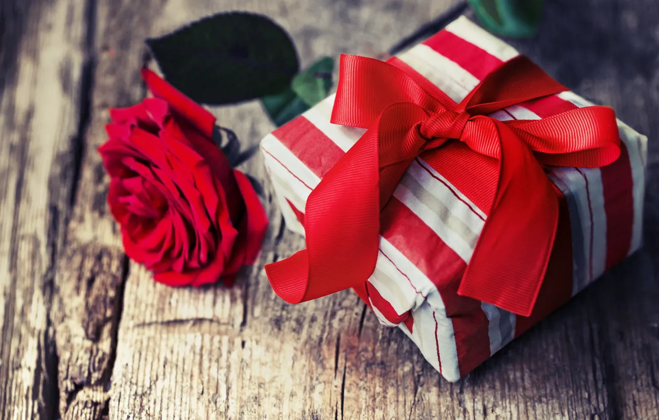 Фото обои любовь, цветы, красный, подарок, розы, букет, red, love