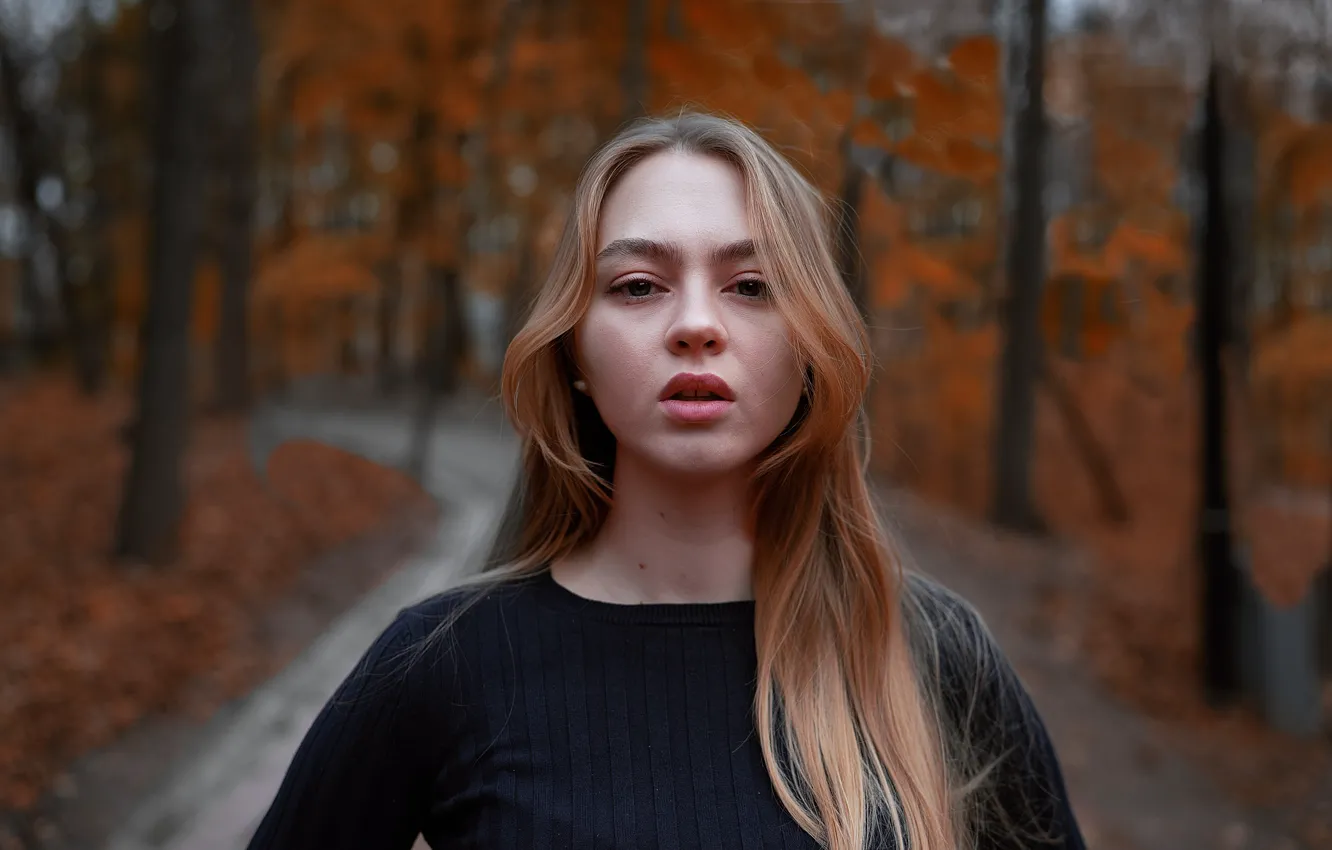 Фото обои осень, губки, Alex Four