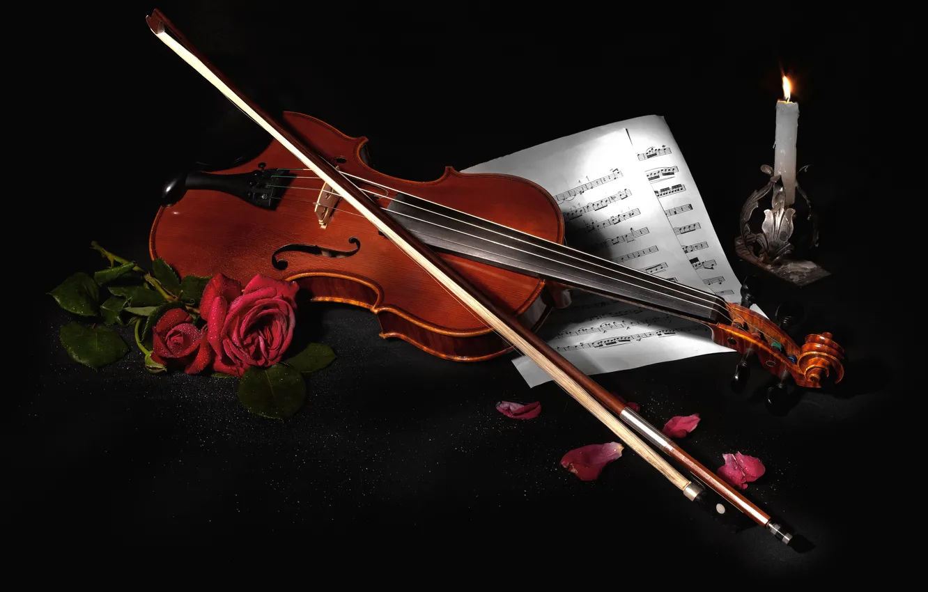 Фото обои цветы, стиль, ноты, музыка, скрипка, розы, черный фон, натюрморт