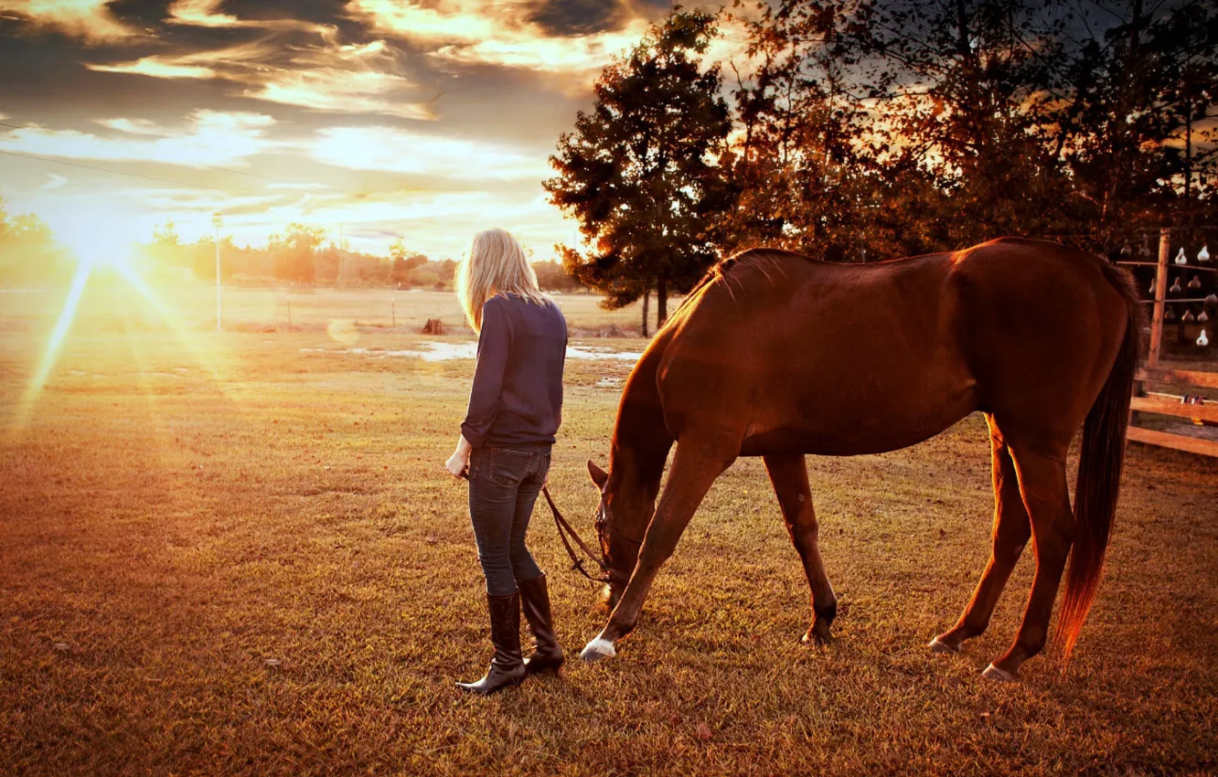 Фото обои Nature, Sunrise, Trees, Horses