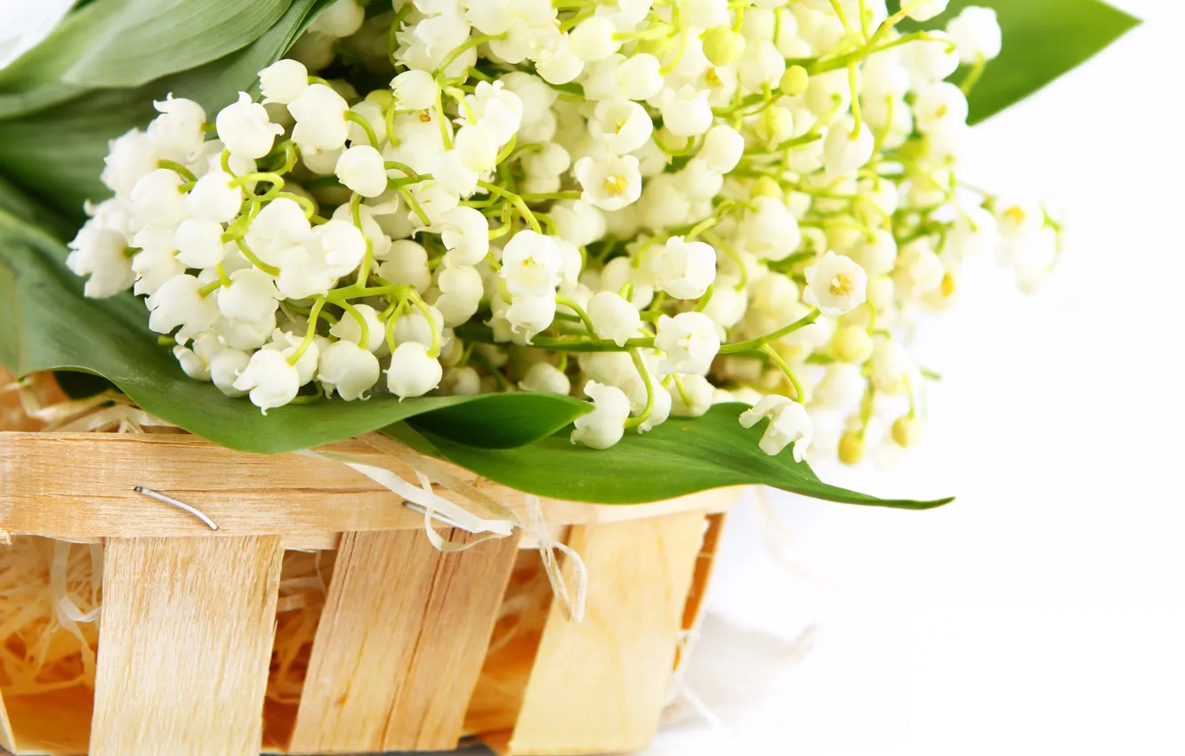 Фото обои цветы, корзинка, ландыши, flowers, basket, lilies