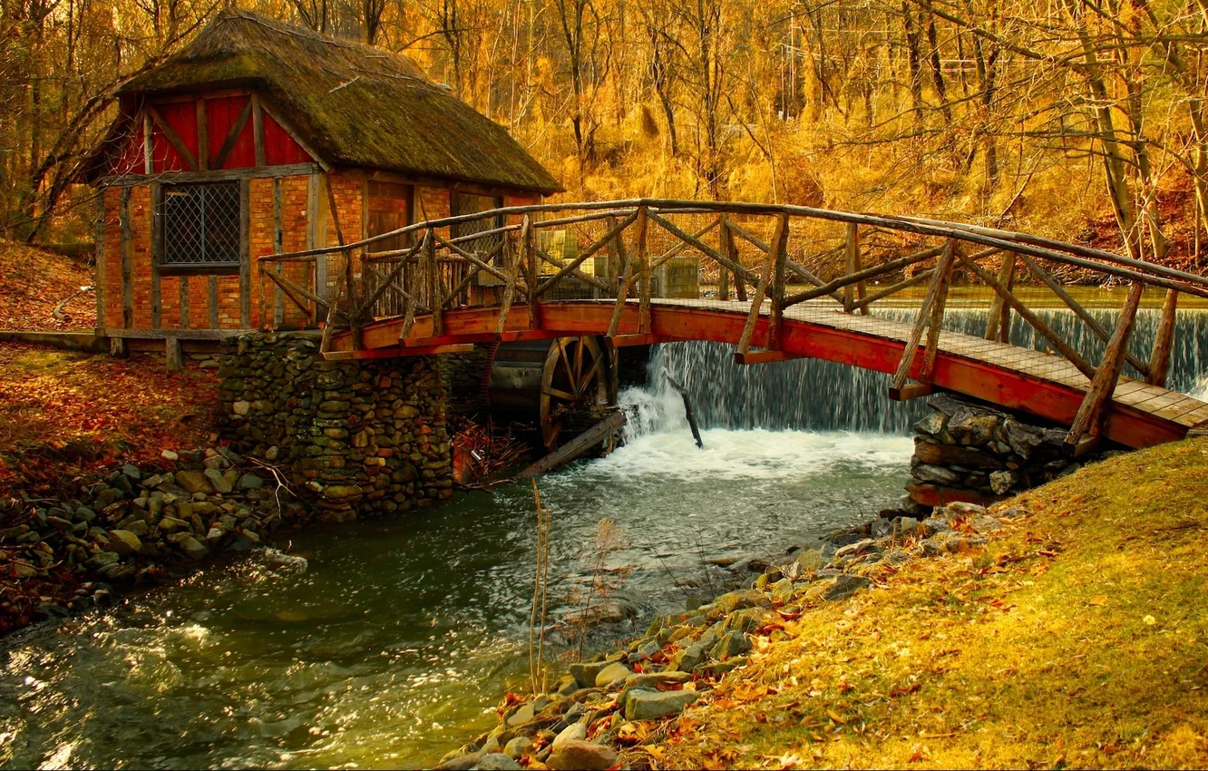 Фото обои листья, деревья, пейзаж, мельница, реки, осенью, природы