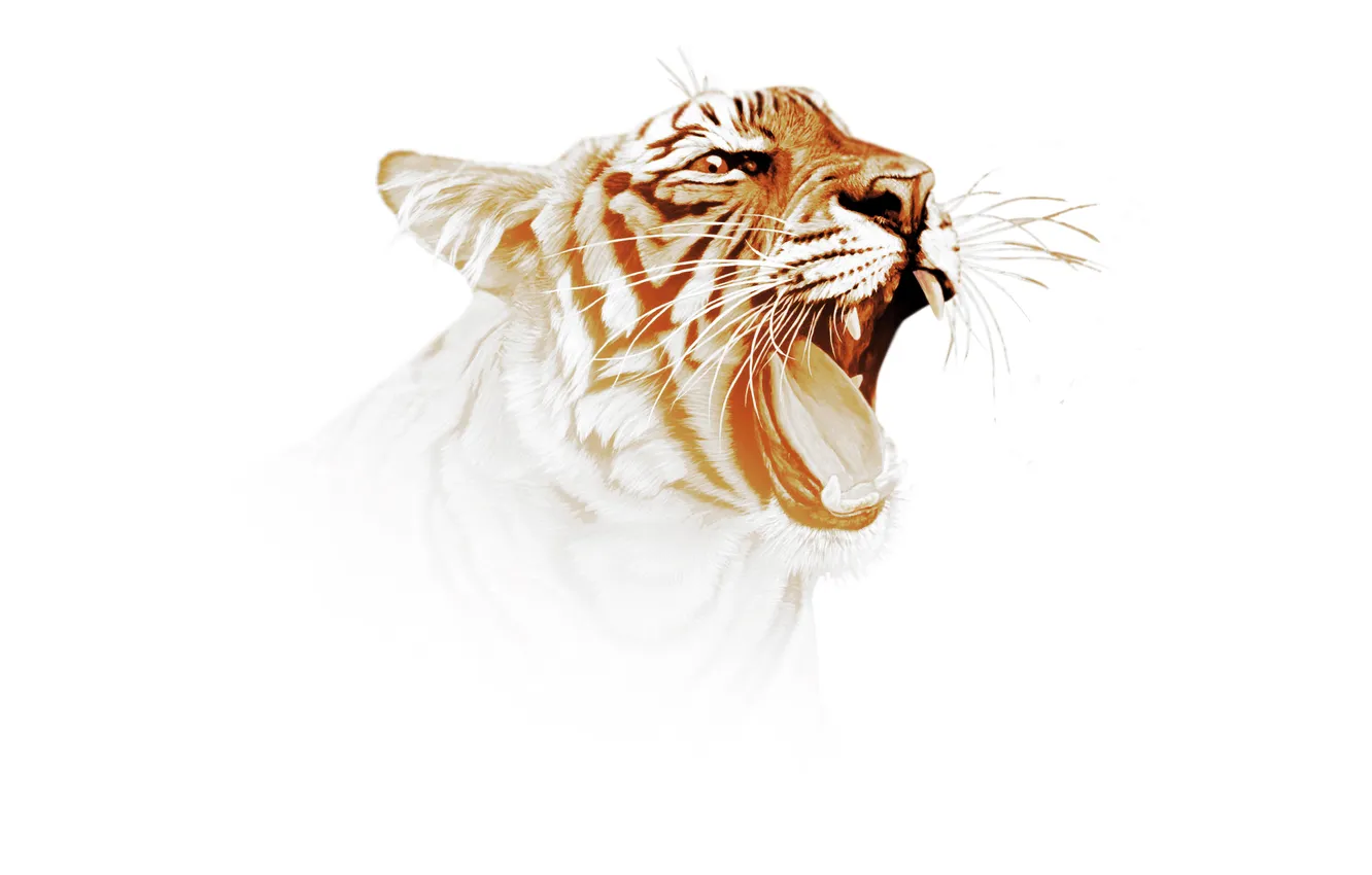 Фото обои тигр, хищник, арт