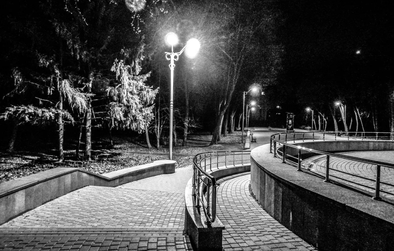 Фото обои деревья, парк, Ночь, поручни, Ночной город, Черно - белое, Черкассы, Cherkassy