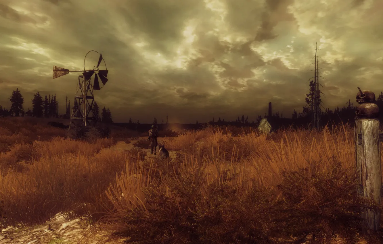 Fallout 4 пустошь фото 100