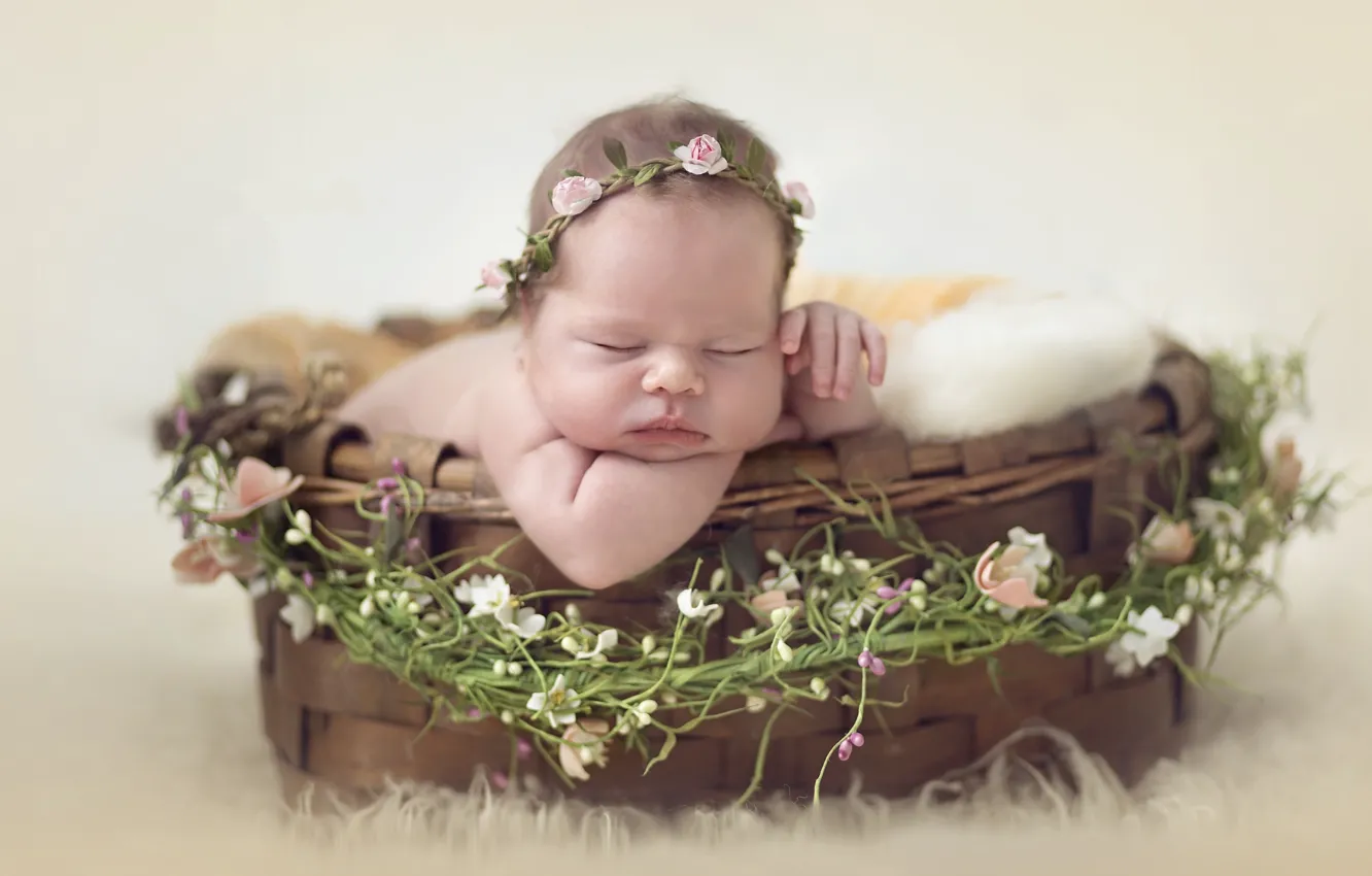 Фото обои корзина, сон, девочка, венок, младенец