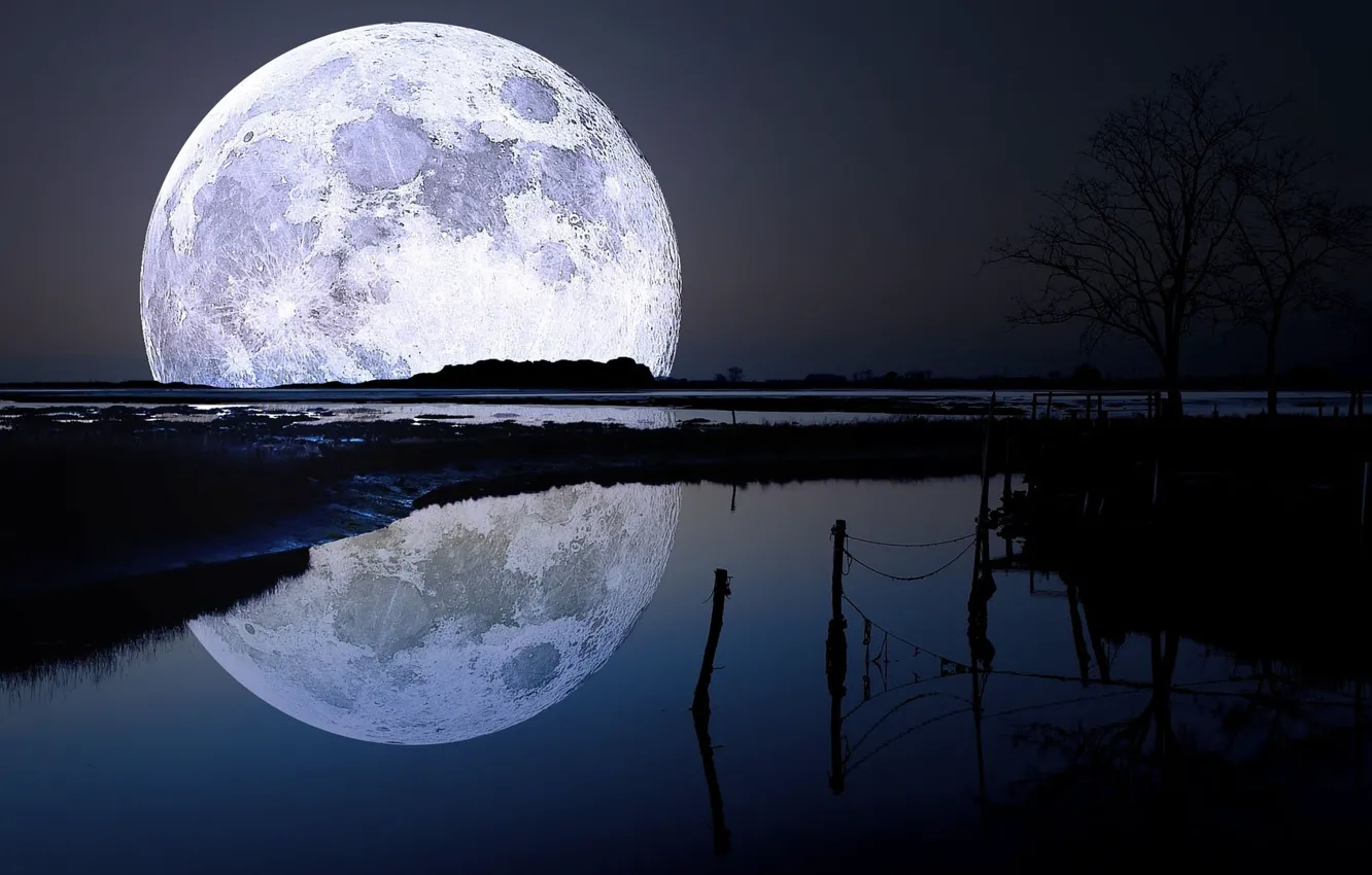 Фото обои ночь, озеро, луна