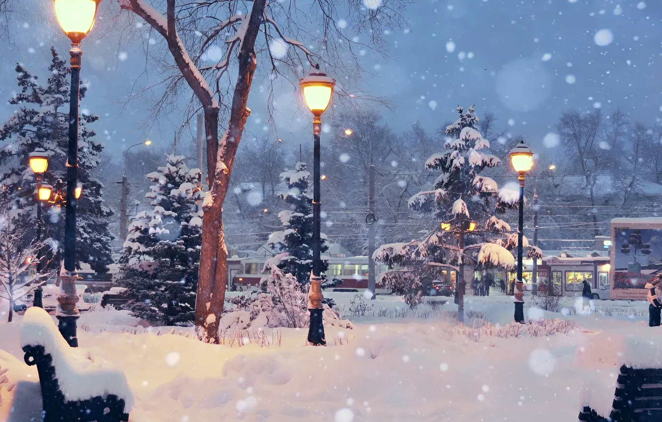 Фото обои Город, City, Зимний вечер, Снежные деревья, Winter evening, Snowy trees