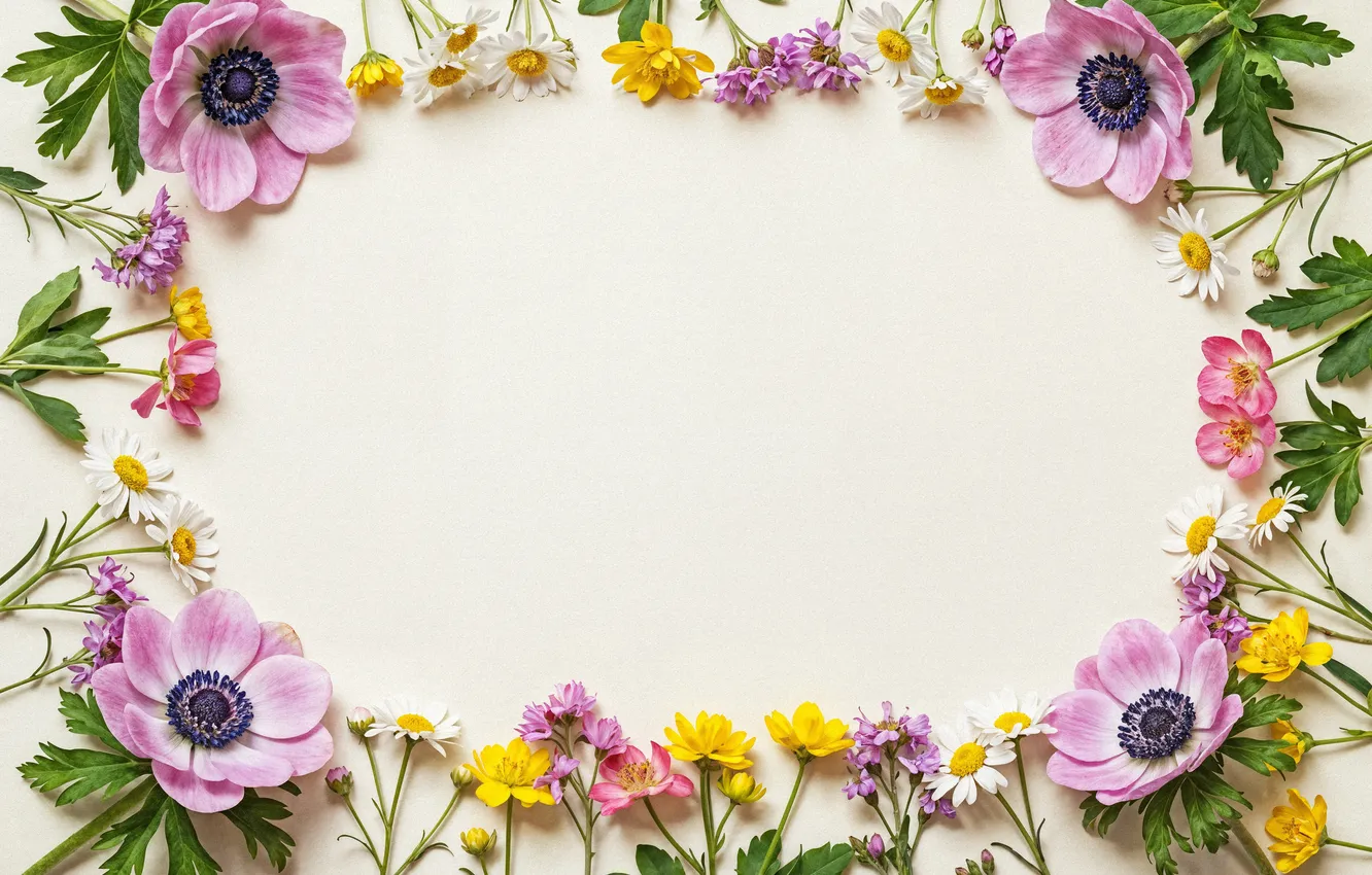 Фото обои цветы, рамка, colorful, pink, flowers, frame, floral