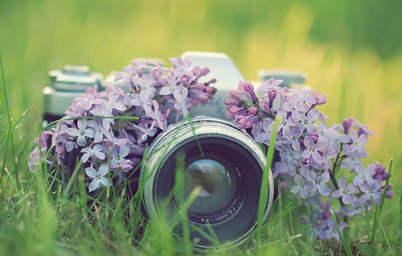 Фото обои трава, цветы, фото, фотоаппарат, сирень, зенит, фотокамера