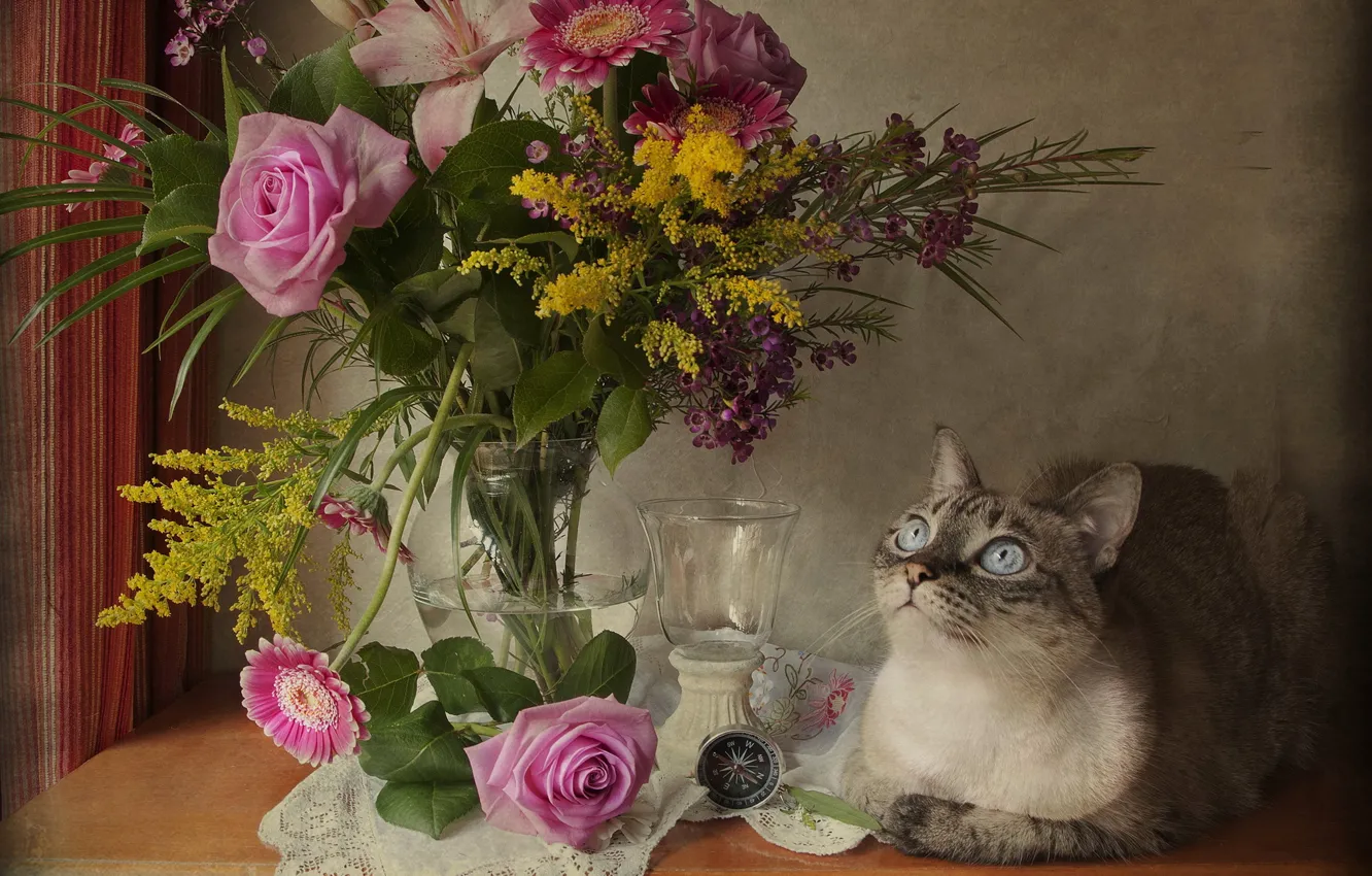 Фото обои кошка, взгляд, цветы, роза, букет