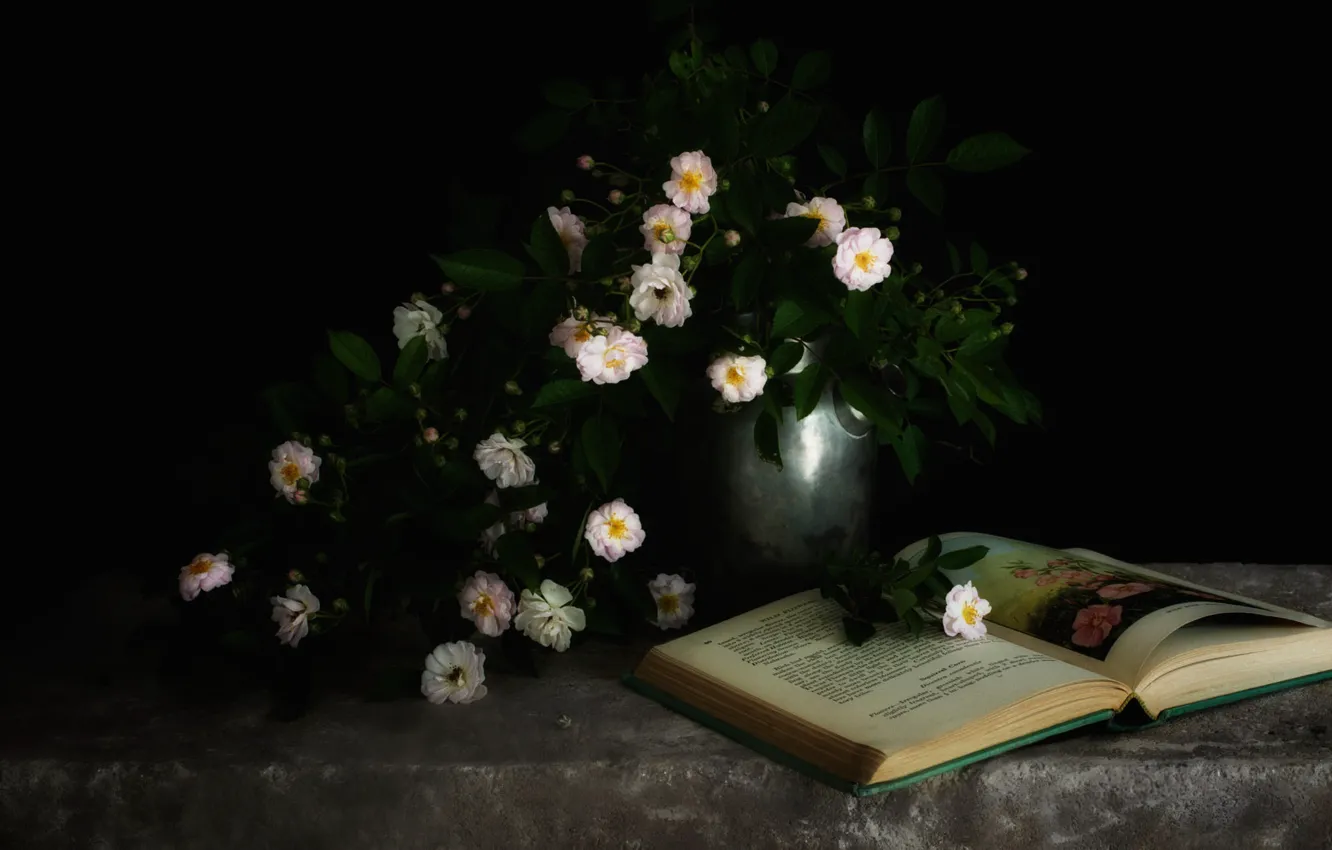 Фото обои цветы, розы, букет, книга, белые, черный фон