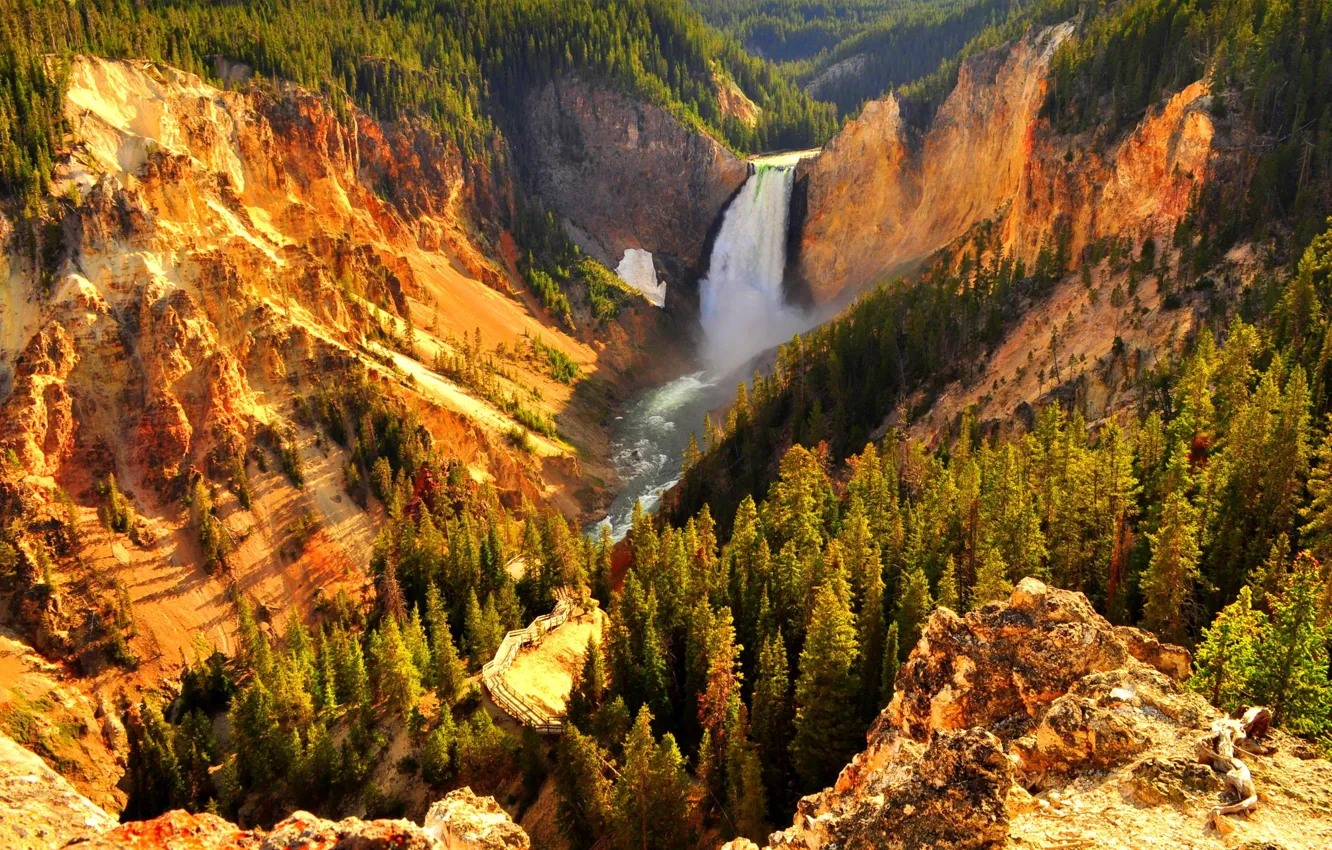 Фото обои лес, горы, Водопад, forest, mountains, waterfall