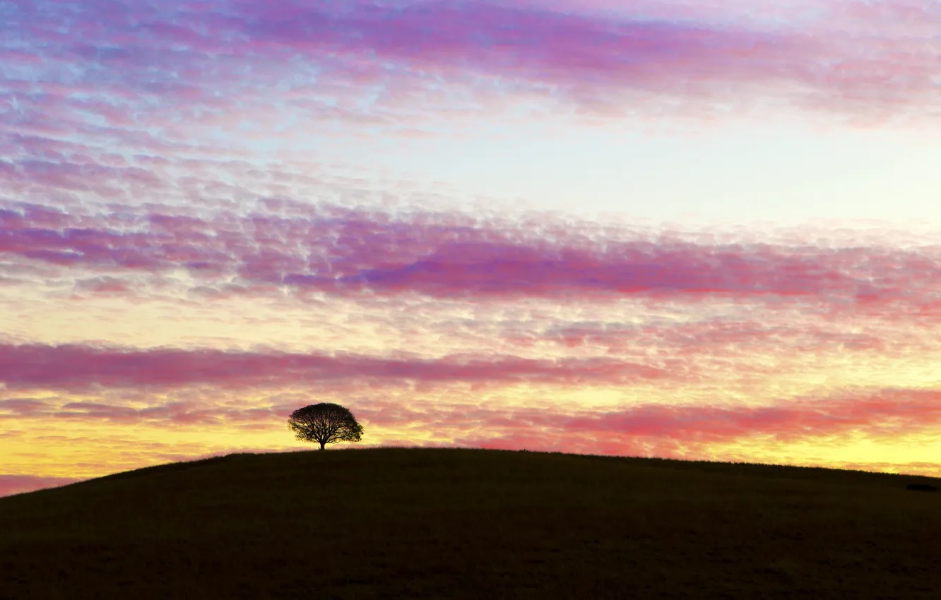 Фото обои небо, облака, закат, дерево, вечер, холм, Австралия