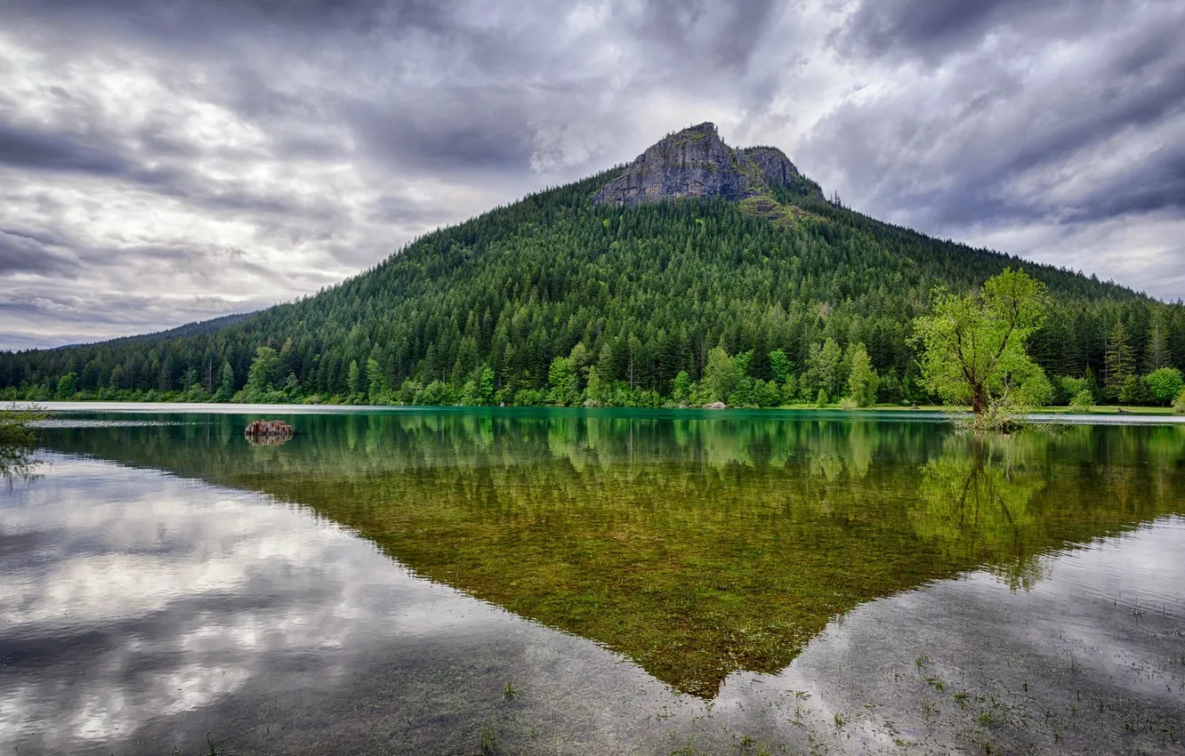 Фото обои лес, вода, деревья, тучи, озеро, отражение, гора, Washington