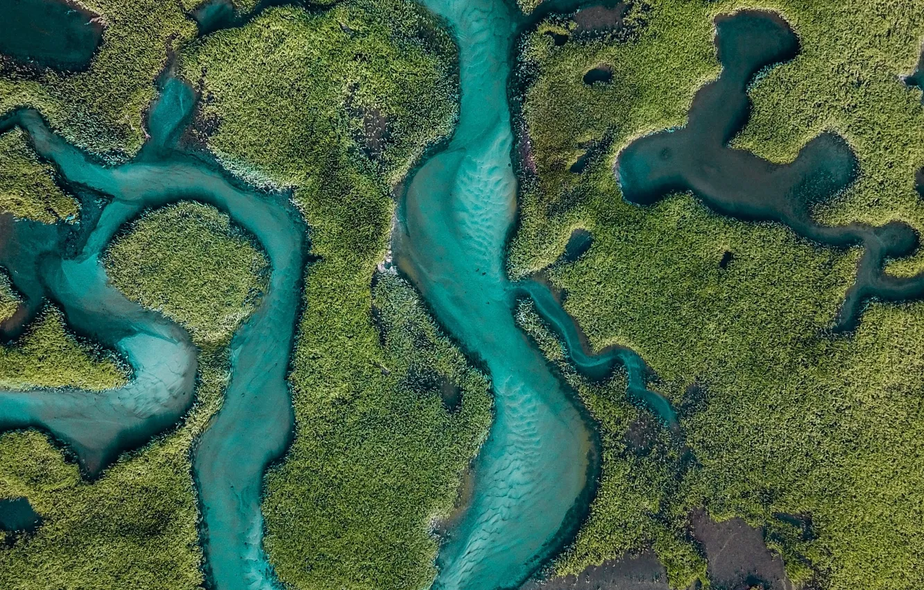 Фото обои лес, деревья, пейзаж, природа, река, растения, вид сверху, рельеф
