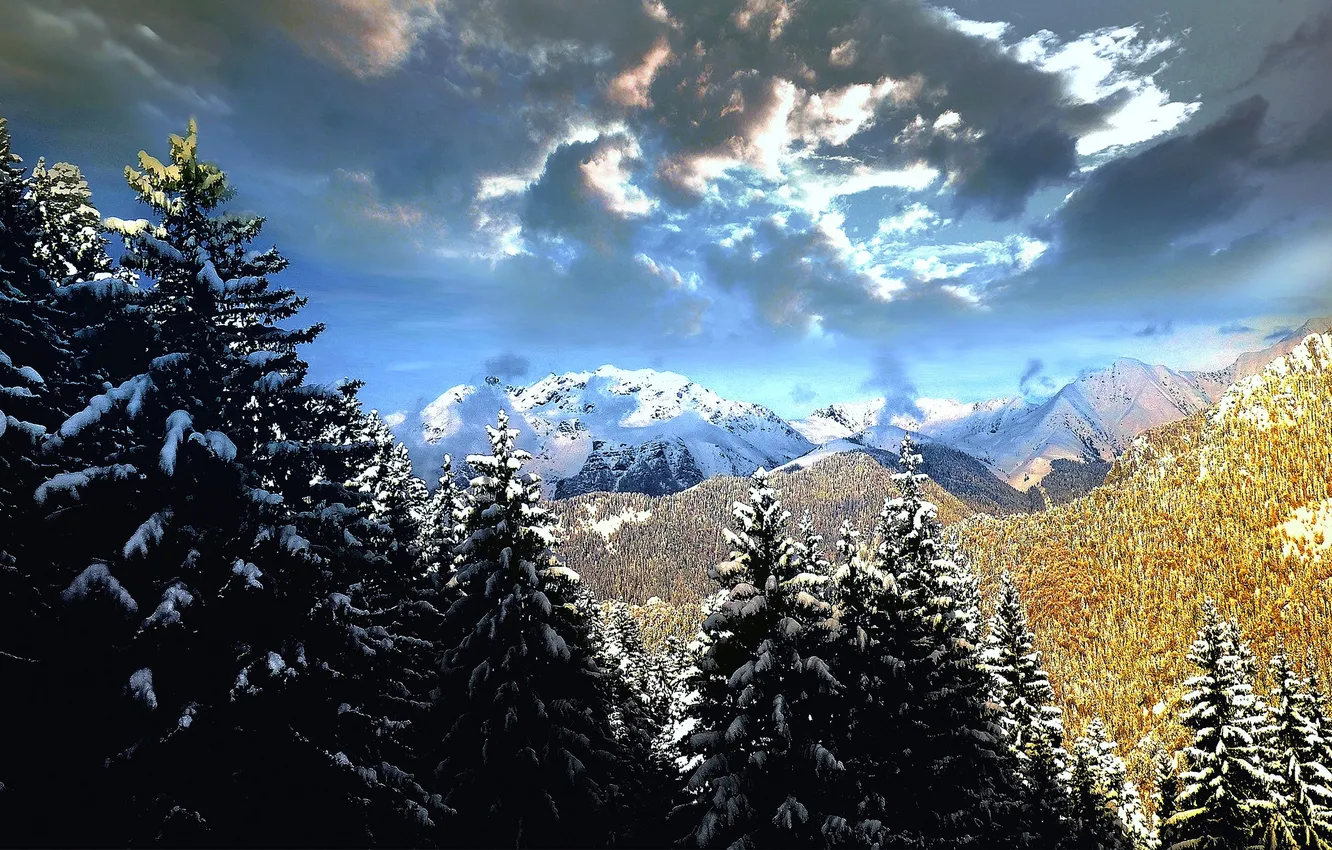 Фото обои зима, лес, снег, деревья, пейзаж, горы, Италия, Ломбардия