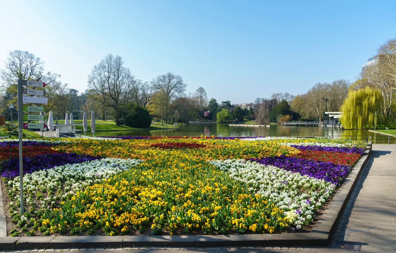 Фото обои небо, солнце, деревья, цветы, пруд, парк, дома, Германия