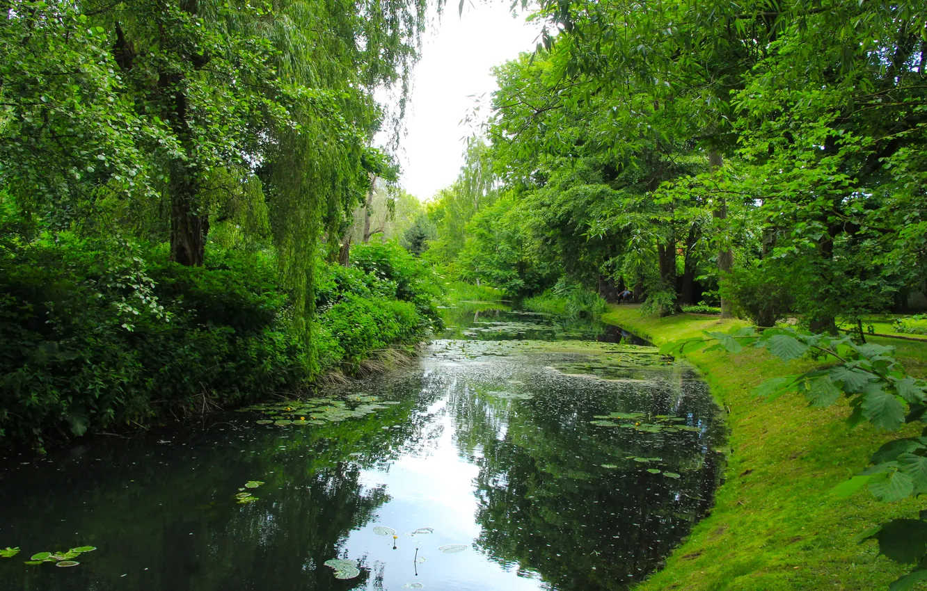 Фото обои water, park, lake, pond