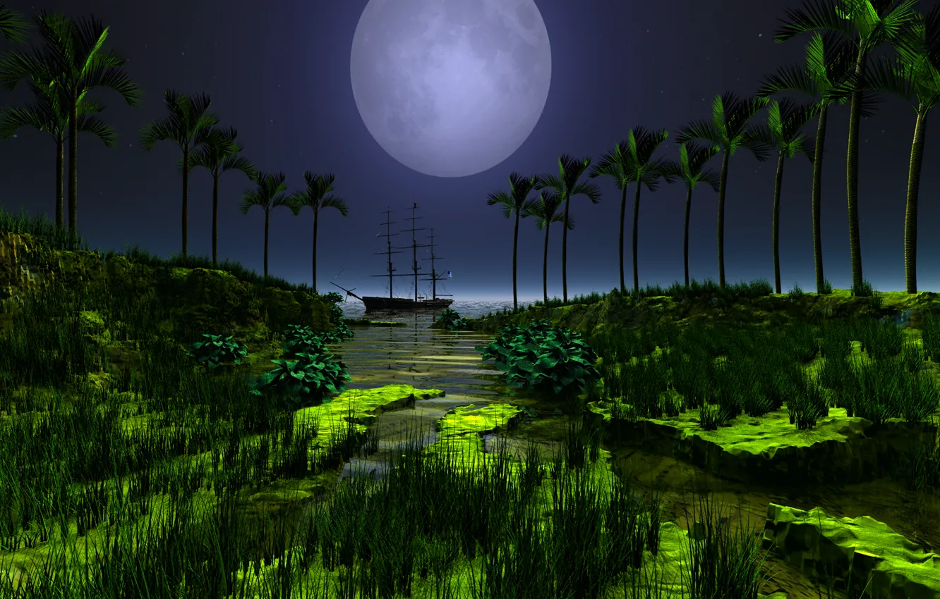 Фото обои небо, трава, вода, ночь, отражение, река, пальмы, луна