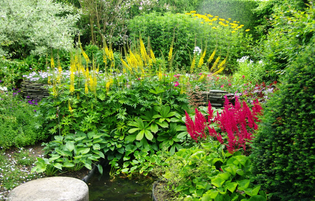 Фото обои зелень, цветы, сад, кусты, Голландия, Appeltern Gardens