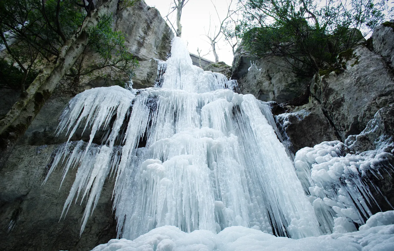 Фото обои холод, зелень, деревья, скалы, водопад, сосульки, замерзший