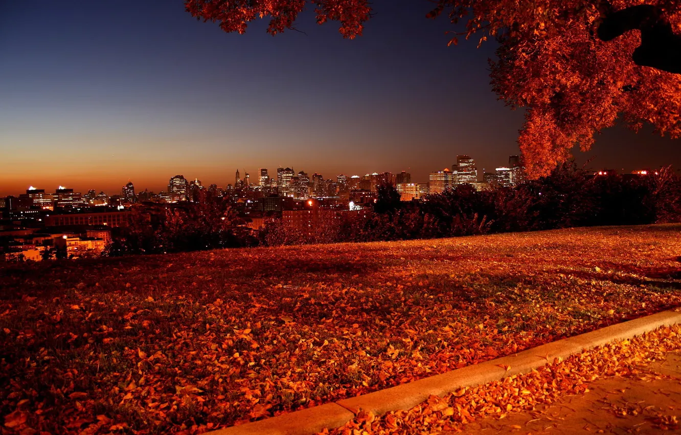 Фото обои осень, пейзаж, природа, фото, вечер