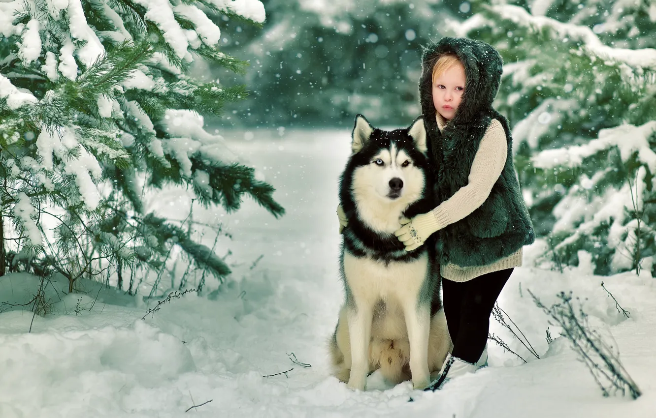 Фото обои зима, снег, природа, собака, Девочка