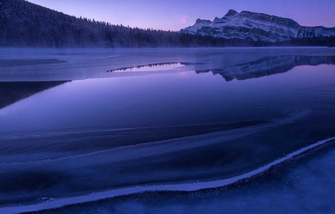 Фото обои лес, горы, озеро, утро, Ice, Blue Morning