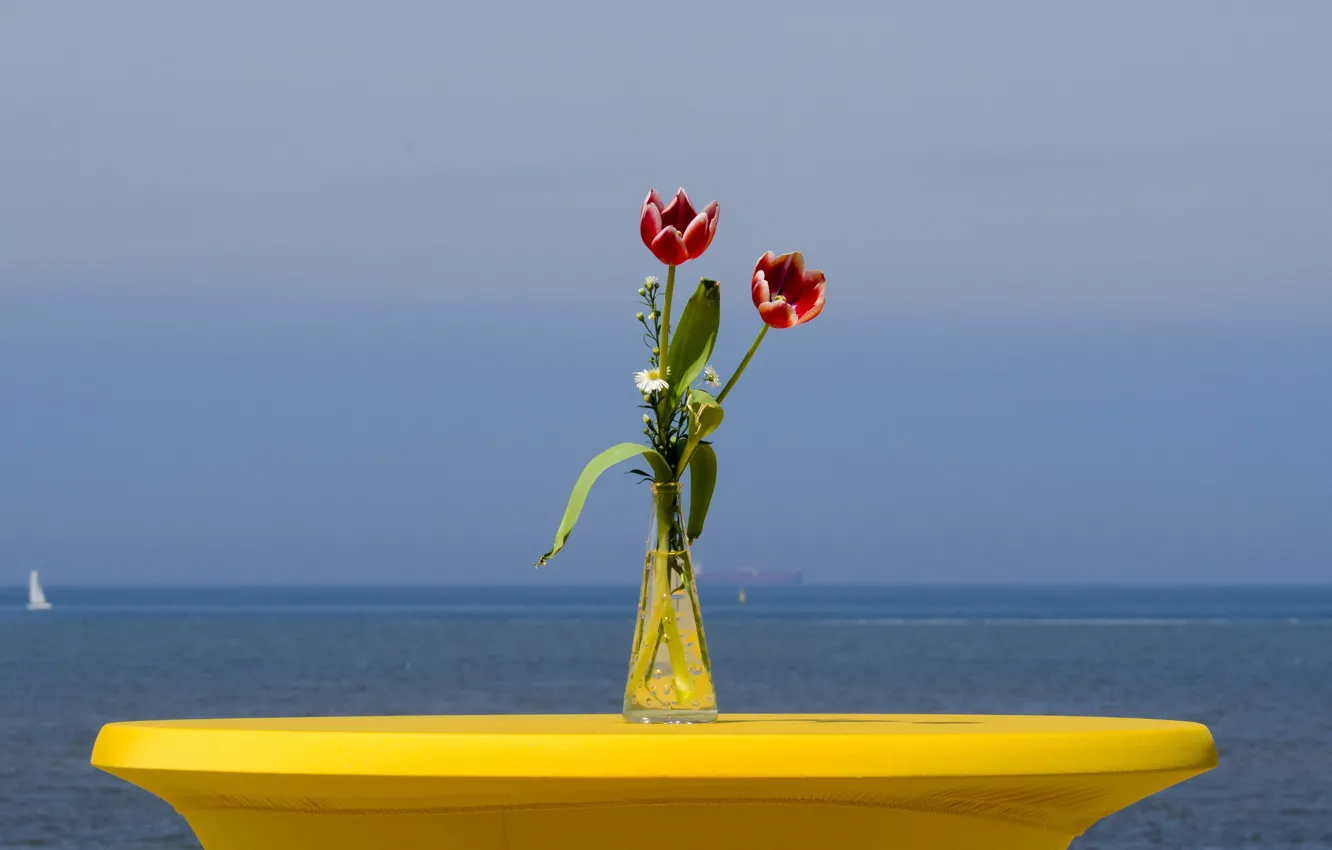 Фото обои море, цветы, яхта, горизонт, тюльпаны, парус, ваза