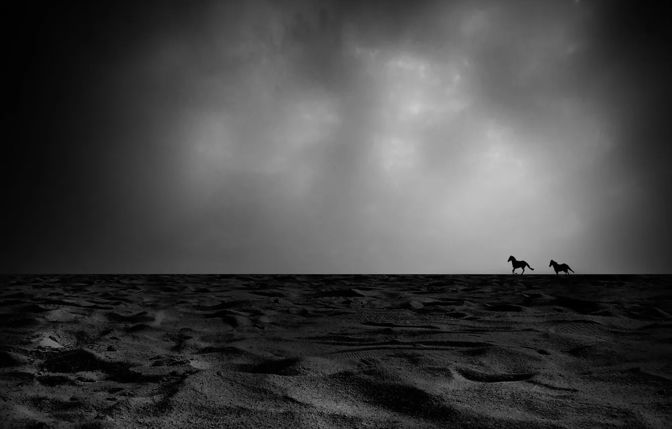 Фото обои cielo, arena, caballos