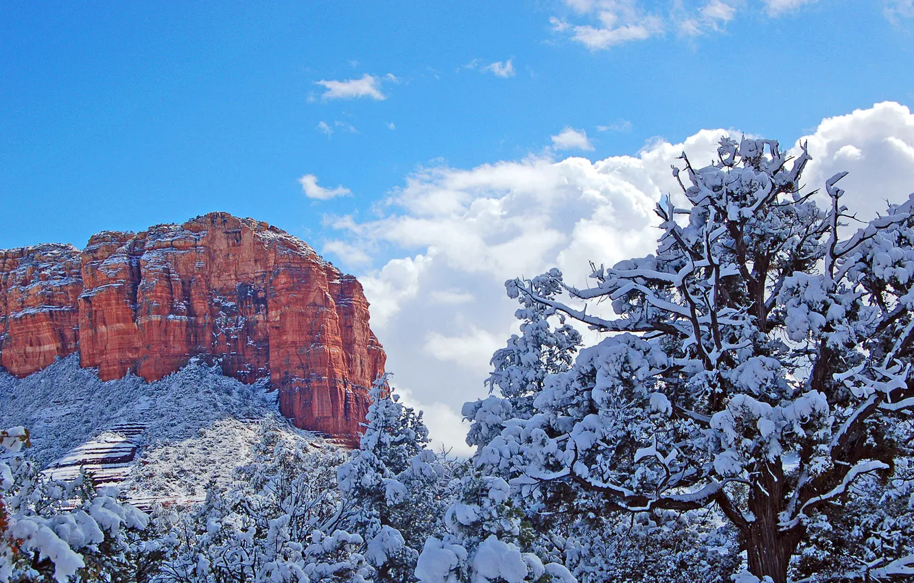 Фото обои зима, небо, снег, деревья, пейзаж, горы, скала