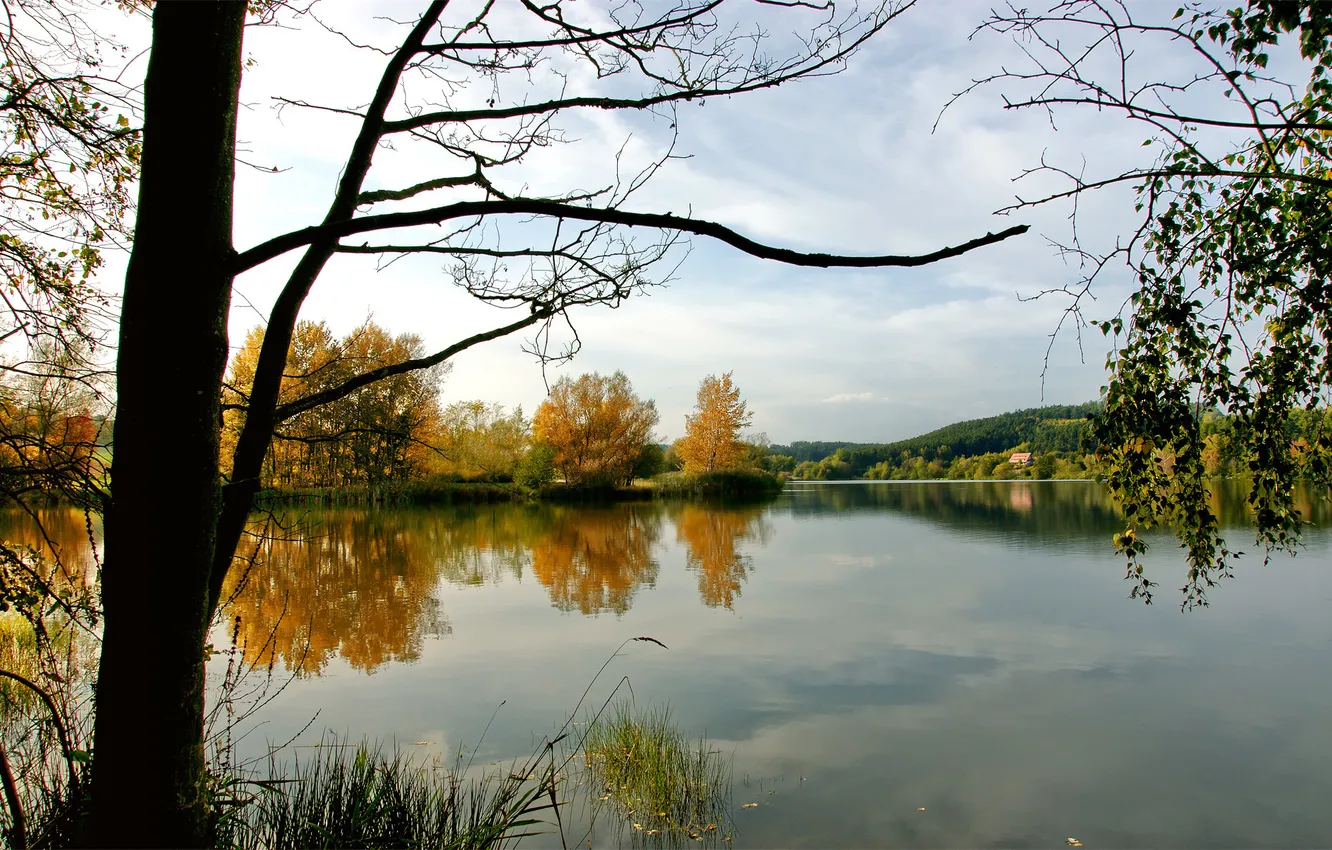 Фото обои вода, деревья, природа, озеро, река, фото, дерево, пейзажи