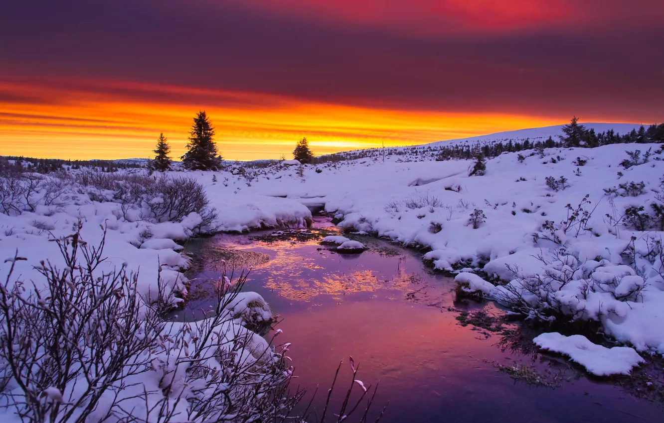 Фото обои зима, вода, облака, снег, деревья, закат, река, Природа