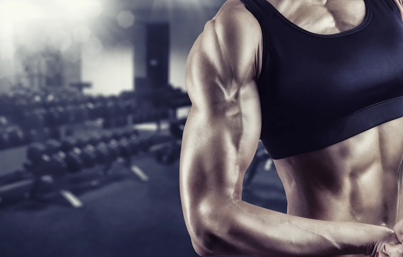 Фото обои female, workout, fitness, bodybuilder