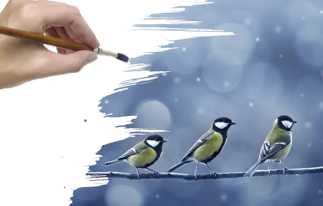 Фото обои снег, рисунок, рука, ветка, птички, кисть, синицы