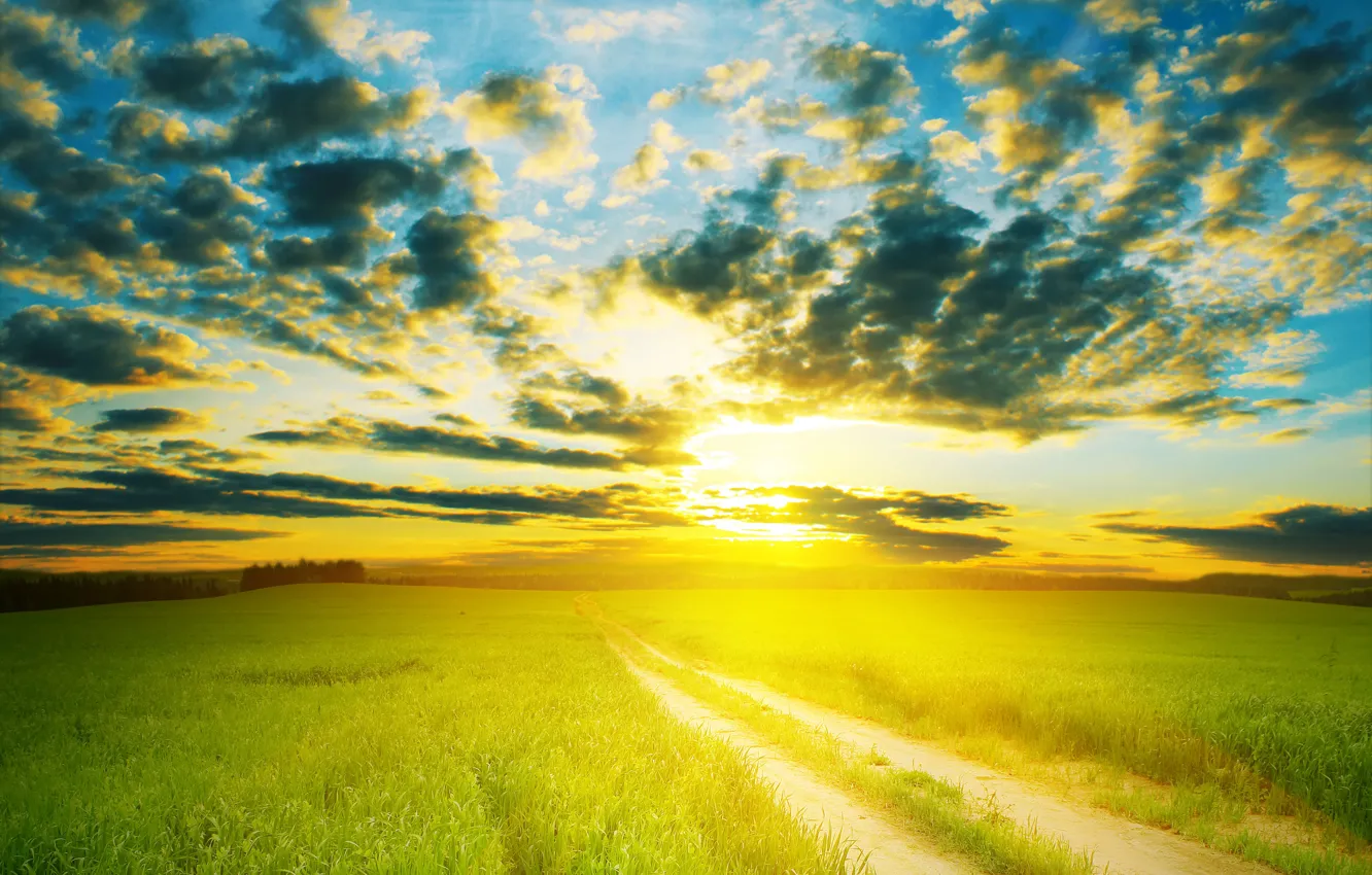 Фото обои дорога, поле, небо, солнце, облака, пейзаж, горизонт, луг