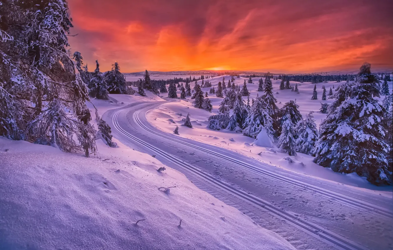 Фото обои зима, дорога, Норвегия, санный путь