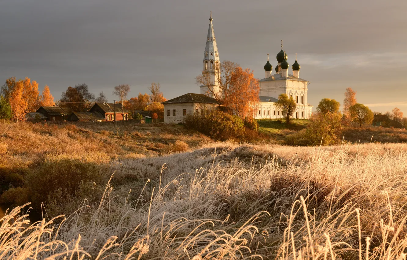 Фото обои иней, поле, осень, трава, свет, деревья, пейзаж, село