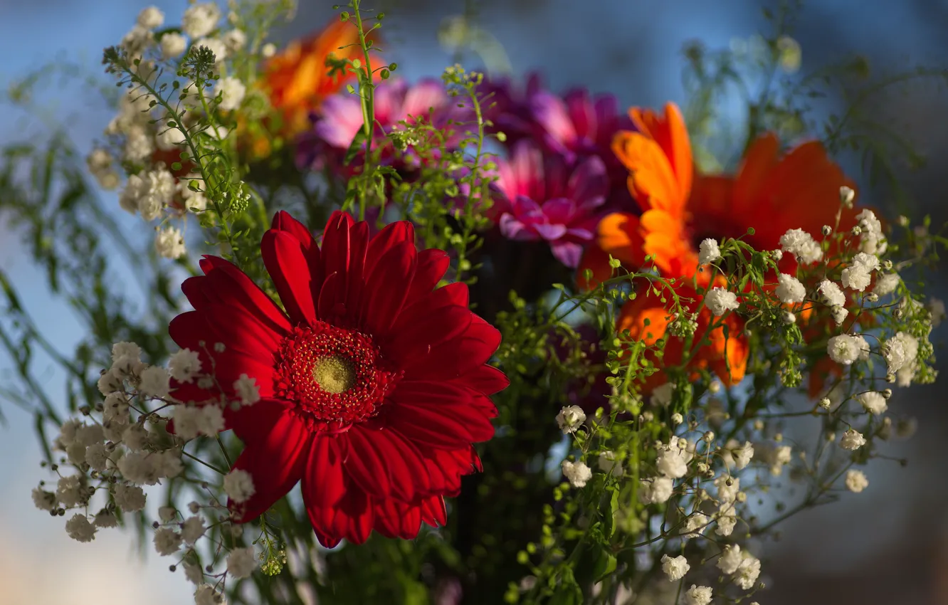 Фото обои цветы, праздник, букет, весна